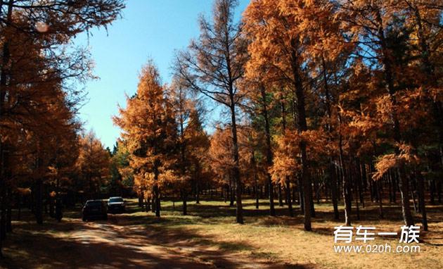 秋季派力奥自驾游内蒙_阿尔山_满洲里_室韦_呼伦贝尔