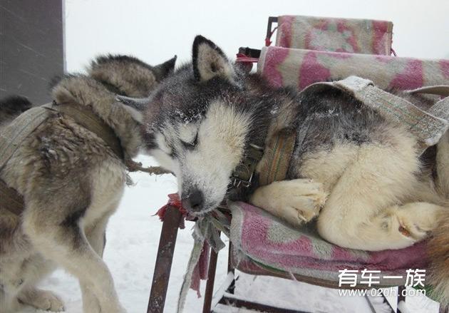 猎豹黑金刚冰雪自驾游 用车体验 雪乡之旅