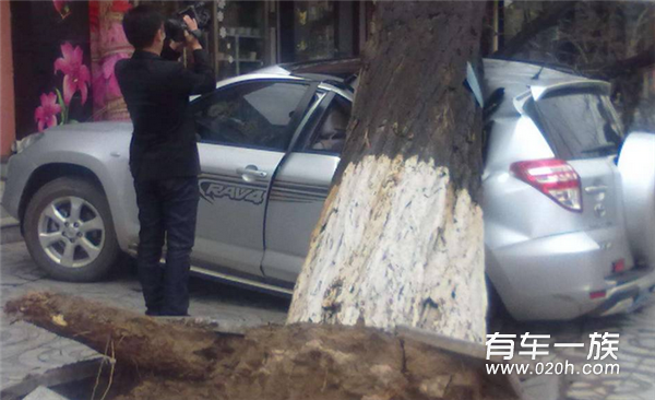 飞来横祸！大树砸了车，保险公司怎么赔？