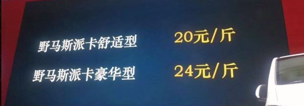 野马斯派卡怎么样 斯派卡价格多少钱