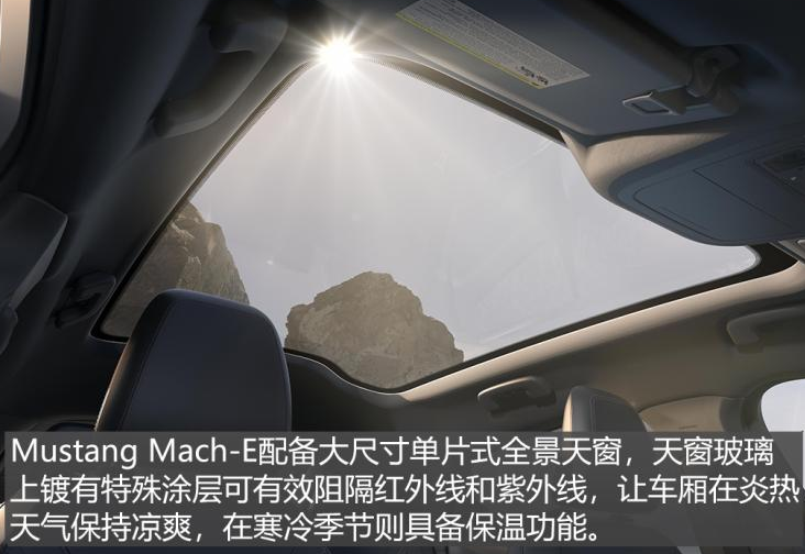 福特MustangMach-E内饰图片实拍