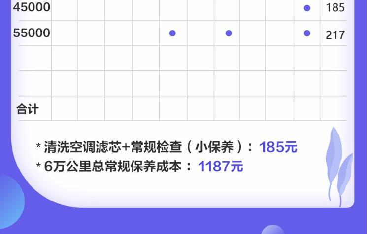 欧拉R1小保养多少钱？欧拉R1保养费用详解