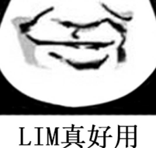 lim是什么意思车上的?汽车上lim是什么意思