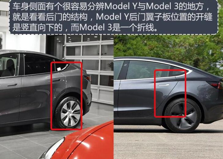 国产modely价格,国产特斯拉modely多少钱